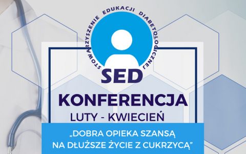aktualnosci_konferencja_sed