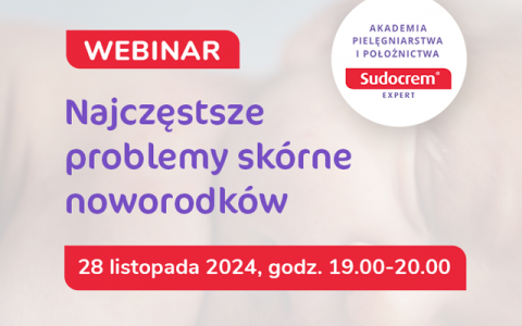 webinar_24_11_28